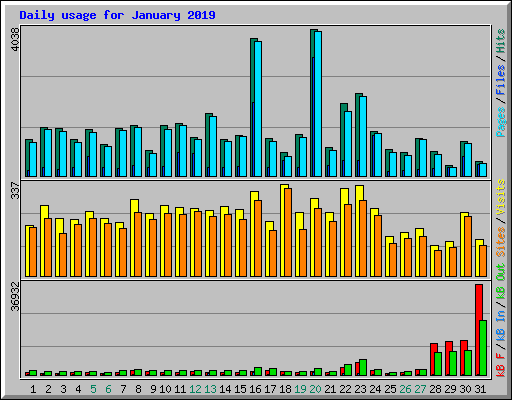 Daily usage for January 2019