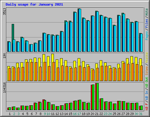 Daily usage for January 2021