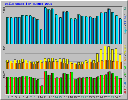 Daily usage for August 2021