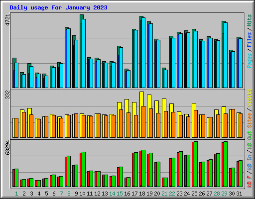 Daily usage for January 2023