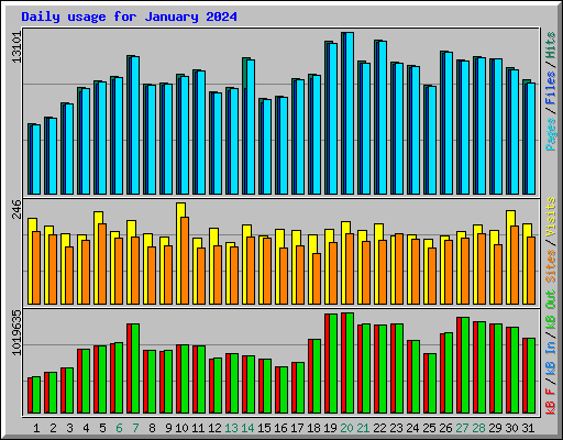 Daily usage for January 2024