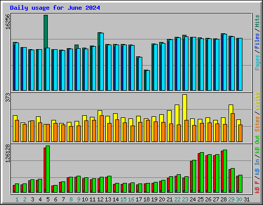 Daily usage for June 2024
