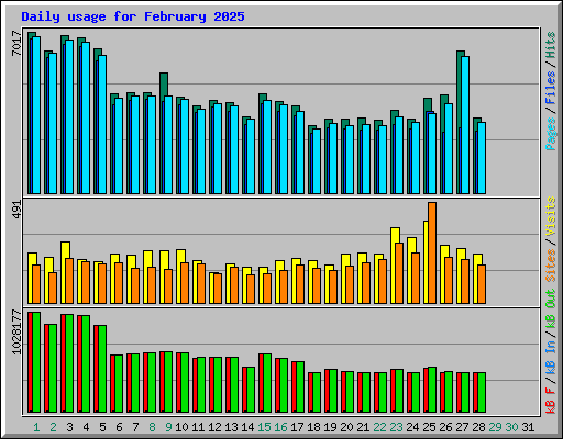 Daily usage for February 2025