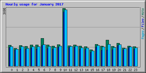 Hourly usage for January 2017