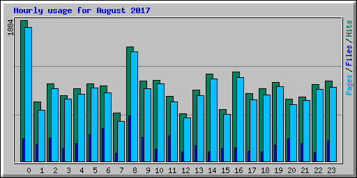 Hourly usage for August 2017