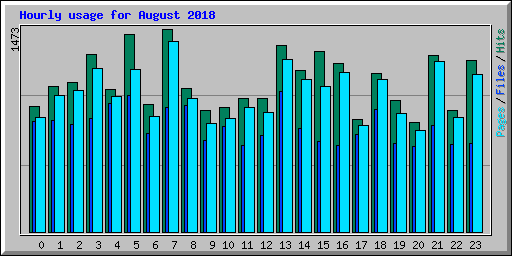 Hourly usage for August 2018