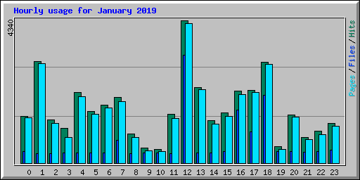 Hourly usage for January 2019