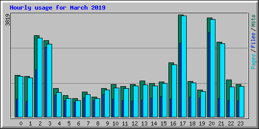 Hourly usage for March 2019