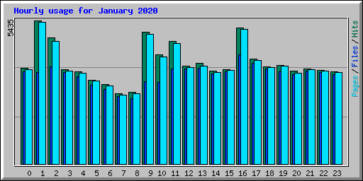 Hourly usage for January 2020