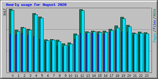 Hourly usage for August 2020