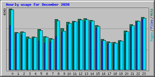 Hourly usage for December 2020