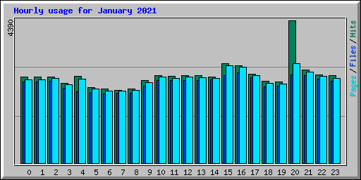 Hourly usage for January 2021