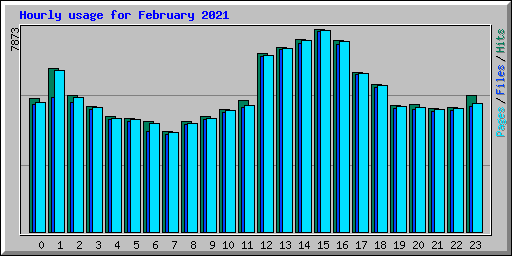 Hourly usage for February 2021