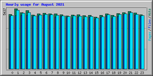 Hourly usage for August 2021