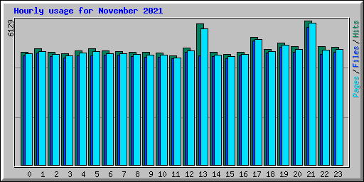 Hourly usage for November 2021