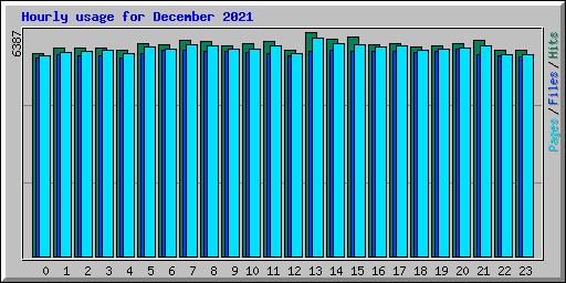 Hourly usage for December 2021