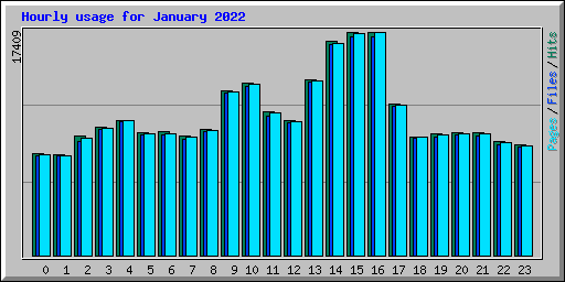 Hourly usage for January 2022