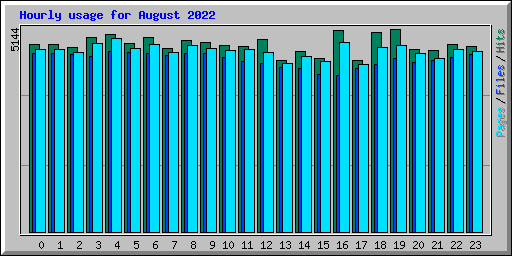 Hourly usage for August 2022