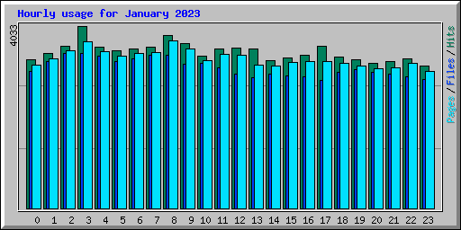 Hourly usage for January 2023
