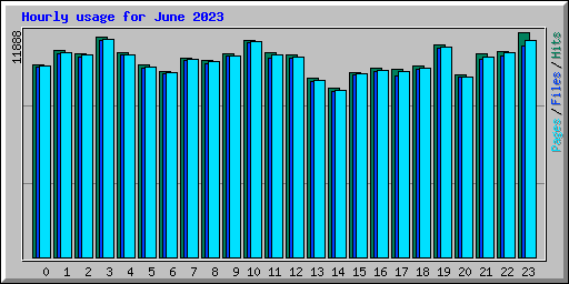 Hourly usage for June 2023
