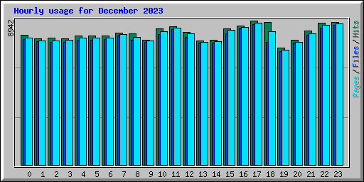 Hourly usage for December 2023