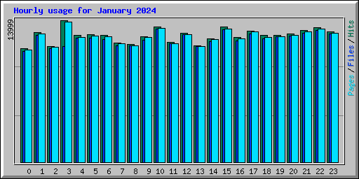 Hourly usage for January 2024