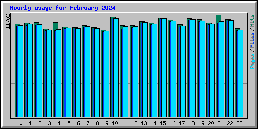 Hourly usage for February 2024