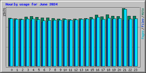 Hourly usage for June 2024