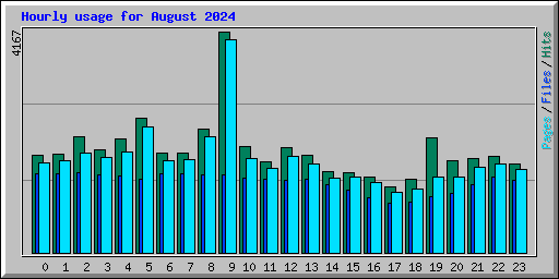 Hourly usage for August 2024