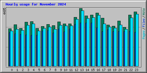 Hourly usage for November 2024