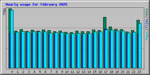 Hourly usage for February 2025