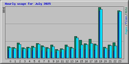 Hourly usage for July 2025