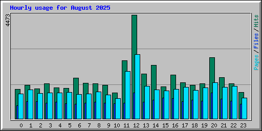 Hourly usage for August 2025