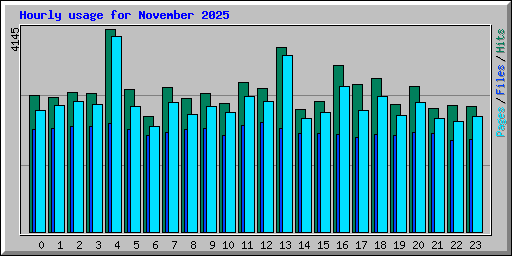 Hourly usage for November 2025