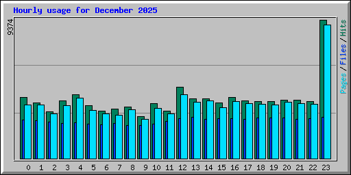 Hourly usage for December 2025