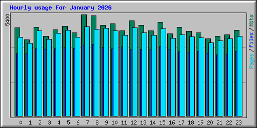 Hourly usage for January 2026