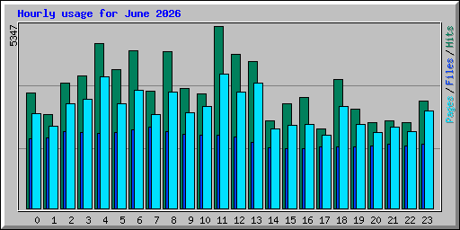 Hourly usage for June 2026