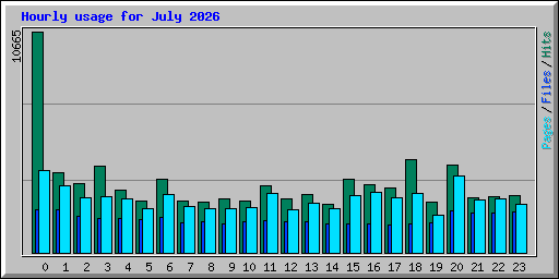 Hourly usage for July 2026