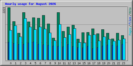 Hourly usage for August 2026